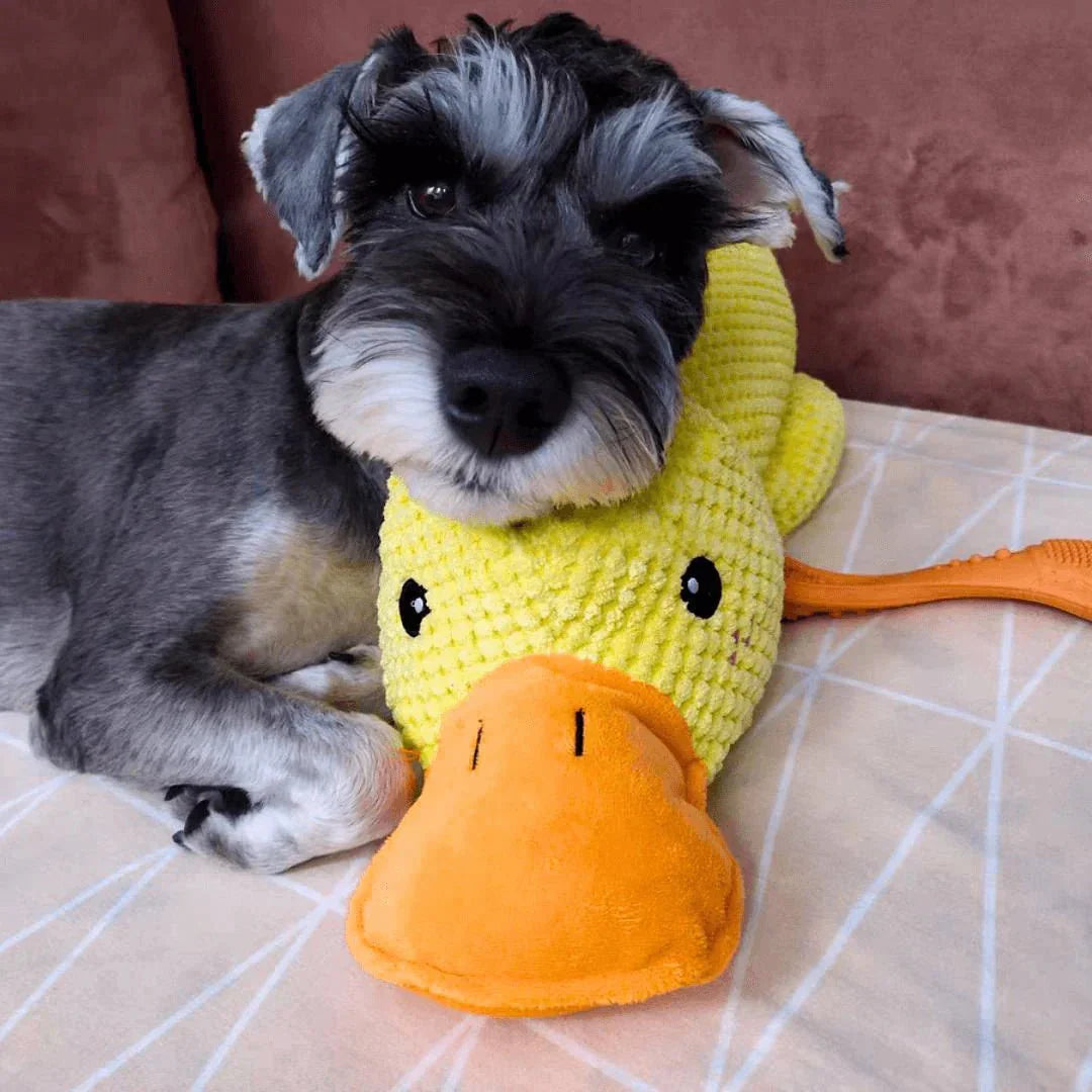 Calming Duck Dog Toy, Anti-Anxiety Plush Pet Comfort