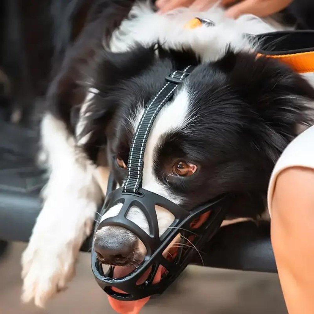 Adjustable Dog Muzzle | Anti-Bite & Anti-Bark Basket Guard