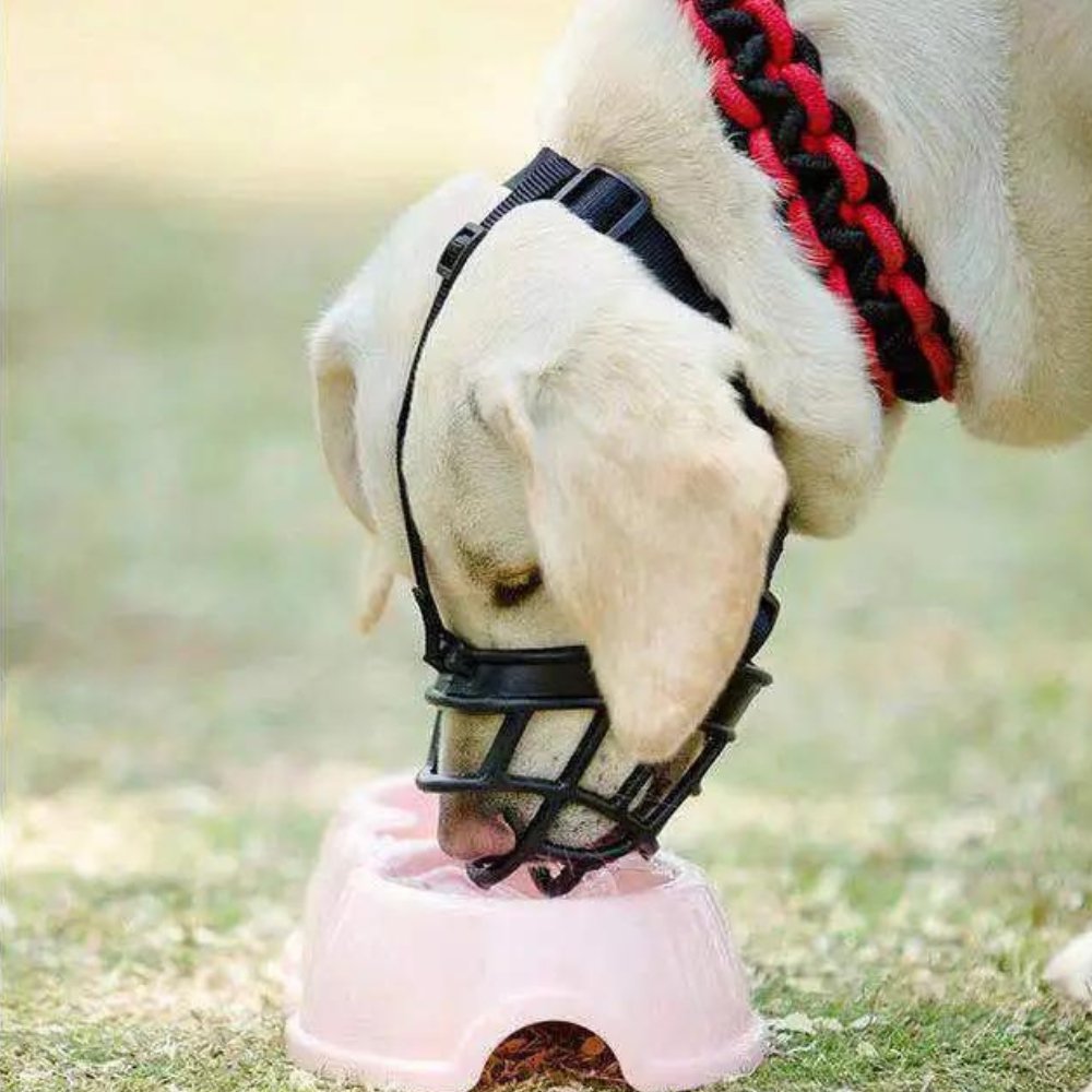 Adjustable Dog Muzzle | Anti-Bite Basket Muzzle for Training