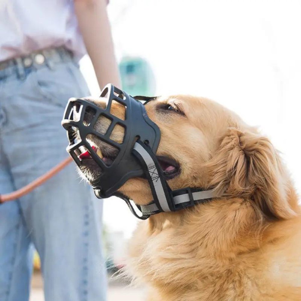 Adjustable Dog Muzzle | Anti-Bite Basket Muzzle for Training