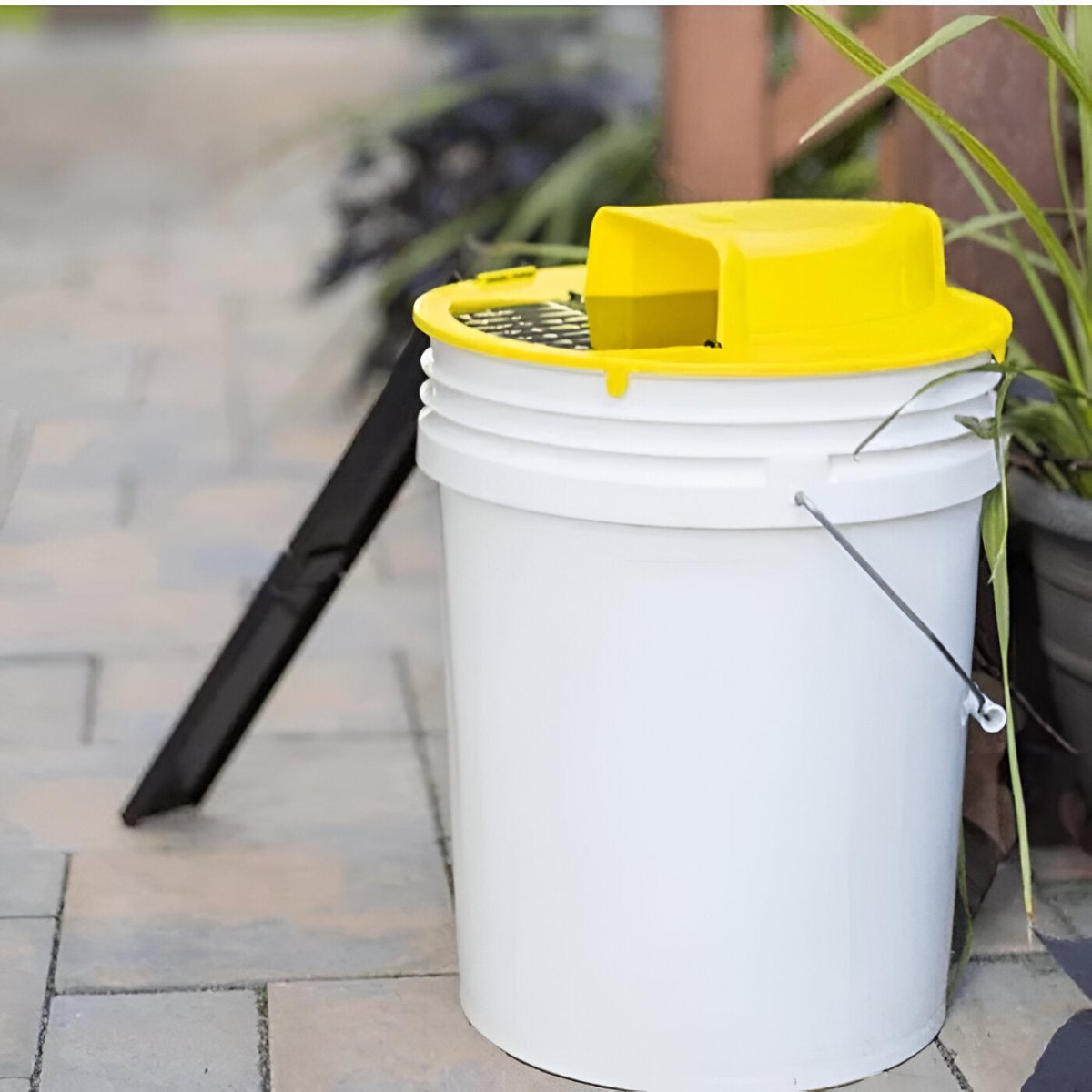 Touchless Multi-Catch Mouse Trap | Pet Safe Indoor Rodent Control